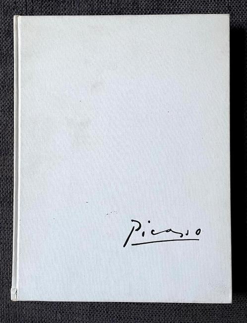 Picasso Grafiek (Bernhard Geiser), Boeken, Kunst en Cultuur | Beeldend, Gelezen, Schilder- en Tekenkunst, Ophalen