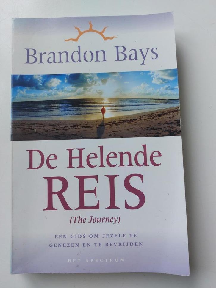 De helende reis, Boeken, Esoterie en Spiritualiteit, Zo goed als nieuw, Achtergrond en Informatie, Spiritualiteit algemeen, Ophalen of Verzenden