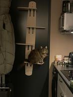 Katten klimplank, Dieren en Toebehoren, Ophalen of Verzenden, Nieuw