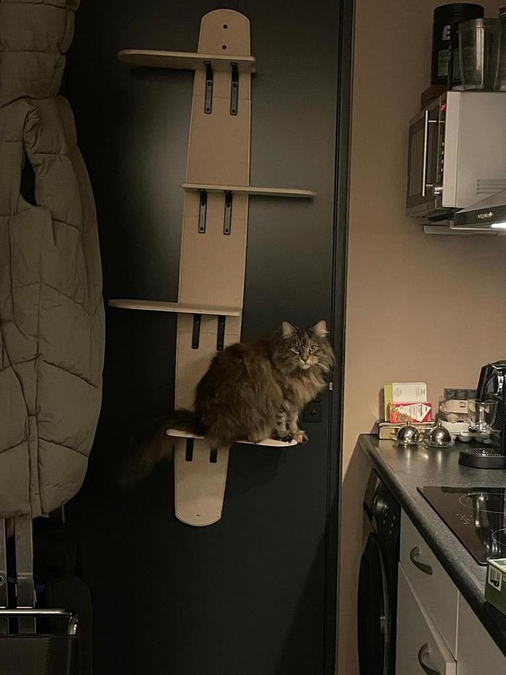 Katten klimplank, Dieren en Toebehoren, Katten-accessoires, Nieuw, Ophalen of Verzenden