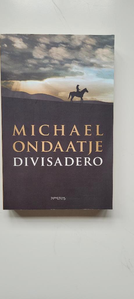 Divisadero, Michael Ondaantje, Boeken, Thrillers, Zo goed als nieuw, Ophalen of Verzenden