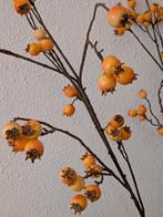 Kunsttak bessen, Ophalen of Verzenden, Nieuw