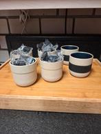 Mokken ,kopjes Nieuw 80 stuks, Huis en Inrichting, Keuken | Servies, Ophalen, Nieuw, Overige stijlen, Kop(pen) en/of Schotel(s)