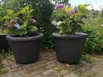 Betonnen bloembakken, bloempotten, antraciete bloemvazen, Tuin en Terras, Bloembakken en Plantenbakken, Ophalen, Tuin, Minder dan 60 cm