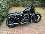 Nieuwstaat Harley Davidson SPORTSTER 883 IRON 2020 3800km!, 2 cilinders, Bedrijf, 883 cc, Meer dan 35 kW
