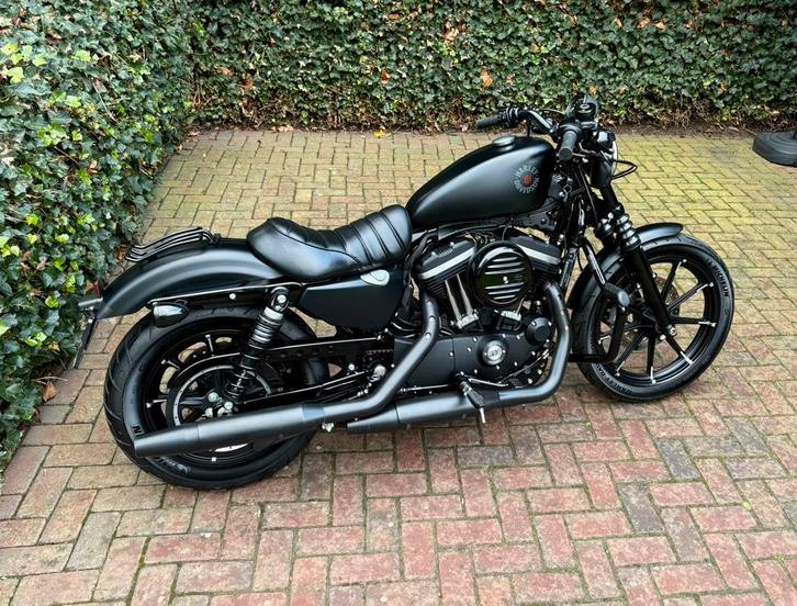 Nieuwstaat Harley Davidson SPORTSTER 883 IRON 2020 3800km!, Motoren, Motoren | Harley-Davidson, Bedrijf, Chopper, meer dan 35 kW