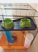 Hamster kooi, Dieren en Toebehoren, Knaagdieren en Konijnen | Hokken en Kooien, Kooi, Minder dan 75 cm, Zo goed als nieuw, Hamster