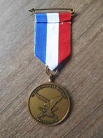 Medaille 11 Luchtmobiele Brigade 1ste Falconwalk, Ophalen of Verzenden, Landmacht, Nederland, Lintje, Medaille of Wings