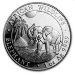 Somalië 1 Ounce 2017 African Wildlife Olifant, Postzegels en Munten, Munten | Afrika, Zilver, Ophalen of Verzenden, Losse munt