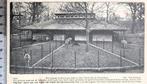 Artis 1921; nieuwe eenhoevigen-huis in Artis, Verzenden, Voor 1940, Gebruikt, Gebouw
