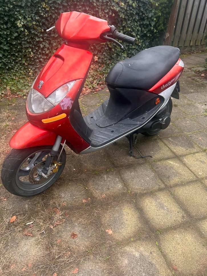 Peugeot Vivacity 50cc (snor) orgineel, Fietsen en Brommers, Scooters | Peugeot, Gebruikt, Vivacity, Tweetakt, Ophalen