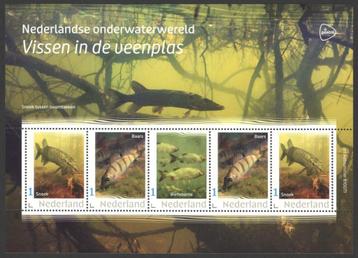 Nederlandse Onderwaterwereld: Vissen in de veenplas beschikbaar voor biedingen