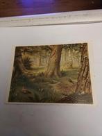 M.A. KOEKKOEK. "IN HET BOS"  1984, Ophalen of Verzenden, 1980 tot heden, Overige thema's