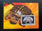 Vogels Baby-Uiltjes Baby-Schildpad, Verzenden, Postfris, Dier of Natuur