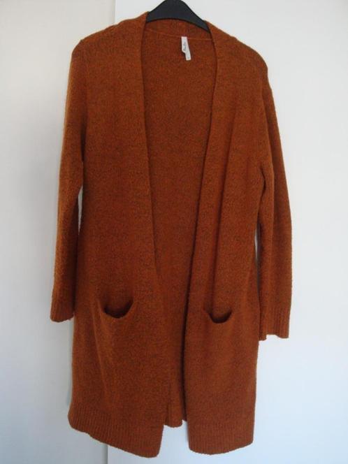 Lang bruin gemêleerd vest. Maat XL., Kleding | Dames, Truien en Vesten, Zo goed als nieuw, Maat 46/48 (XL) of groter, Bruin, Ophalen of Verzenden