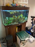 Juwel vision aquarium met onderkast, Ophalen, Gebruikt, Gevuld zoetwateraquarium