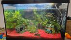 Juwel aquarium met vissen, Dieren en Toebehoren, Vissen | Aquariumvissen, Vis