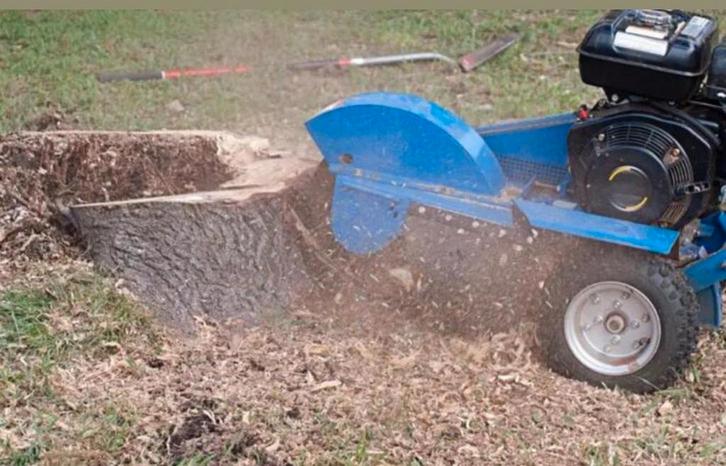 Boomstronk professioneel verwijderen tot 40 cm diepte – snel, Diensten en Vakmensen, Tuinmannen en Stratenmakers, Tuinonderhoud of Snoeiwerk