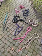 Hoofdstellen, tuigjes, leidsels en zweepjes pony, Dieren en Toebehoren, Ophalen of Verzenden, Zo goed als nieuw