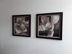 Mooie foto's in mooie lijst, Ophalen, 50 tot 75 cm, Zo goed als nieuw, 50 tot 75 cm