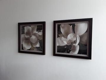 Mooie foto's in mooie lijst beschikbaar voor biedingen