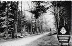 Pa1172 oude ansichtkaart odoorn camping 't vlinderholt, Verzenden, Gelopen