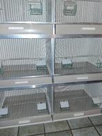 Gehu kooi, Ophalen, Zo goed als nieuw, Hout, Broedkooi of Kweekkooi