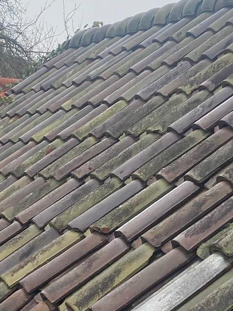 Dakpannen met ballonvorsten!, Doe-het-zelf en Verbouw, Dakpannen en Dakbedekking, Gebruikt, Dakpannen, Steen of Klei, Overige kleuren