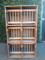 Duiven duivinnen kast, Dieren en Toebehoren, Vogels | Duiven, Meerdere dieren, Postduif