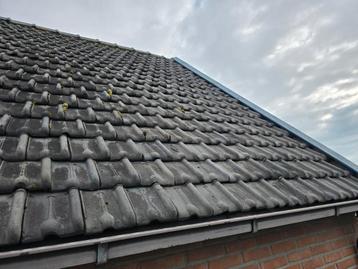 Ruim 1450 oude (antieke?) kruispannen circa 68 m2 beschikbaar voor biedingen