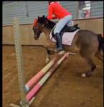 Verzorg pony / paard gezocht, Ophalen of Verzenden, Zo goed als nieuw