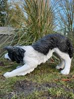 Border collie hond beeld tuin huis dier, Tuin en Terras, Tuinbeelden, Ophalen, Nieuw, Kunststof, Dierenbeeld