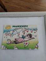 HUNGARY.  SCHAPEN ZIEN MAN ZONNEN, Verzamelen, Ansichtkaarten | Themakaarten, Ophalen of Verzenden, Overige thema's