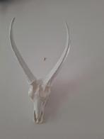 Prachtige mooie hertenkop met gewei, Ophalen of Verzenden, Zo goed als nieuw