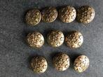 Knopen, Ophalen of Verzenden, Zo goed als nieuw, Knoop of Knopen