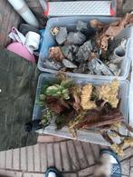 Aquaruim decoratie, Ophalen of Verzenden, Plant(en), Steen of Hout