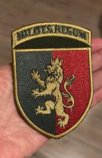 Oekraïense Patches – 24e & 22e Gemechaniseerde Brigade, 2215SK, Ophalen of Verzenden, Info, Embleem of Badge