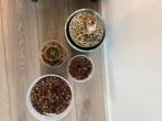 Wetstick pakket, Huis en Inrichting, Kamerplanten, Ophalen, Overige soorten, Minder dan 100 cm