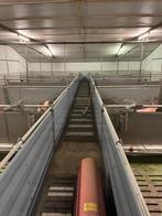Hokinrichting voor vleesvarkens [556], Boekhorst Trading, Info@boekhorsttrading.com, Singel 16, Horssen