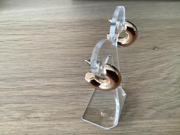 Gouden Knopjes/Stekers Oorbellen beschikbaar voor biedingen