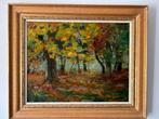 A.M Gorter - Kleurrijke herfstvoorstelling, Ophalen