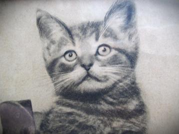 Kittens~Jaren 30 foto in lijst~Katjes~Poezen~Poes beschikbaar voor biedingen