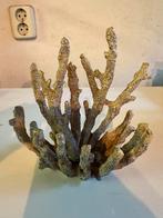 Decoratief Koraal Ornament, Ophalen, Zo goed als nieuw