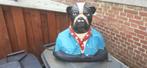 Levi"s Bulldog buste, Ophalen, Zo goed als nieuw