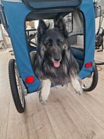 Hondenfietskar / wandelkar, Fietsen en Brommers, Fietsaccessoires | Aanhangers en Karren, Ophalen, Zo goed als nieuw, 20 tot 40 kg