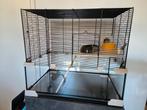Complete hamsterkooi met accessoires, Dieren en Toebehoren, Kooi, Minder dan 75 cm, Zo goed als nieuw, Hamster
