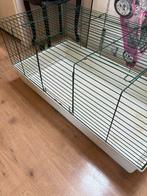 Cavia kooi, Dieren en Toebehoren, Minder dan 60 cm, Kooi, Ophalen of Verzenden, 75 tot 110 cm