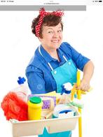 Huishoudelijke hulp gezocht, Diensten en Vakmensen
