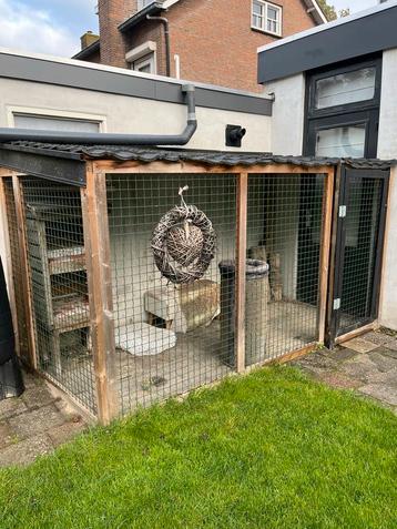 Kattenren beschikbaar voor biedingen