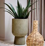 Jysk Bloempot SOLVI Ø25xH40cm groen incl kamerplant, Tuin en Terras, Bloempotten, Rond, Binnen, Zo goed als nieuw, Aardewerk